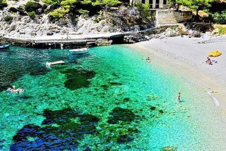 Santa Barbara Mljet Apartment Babino Polje 外观 照片